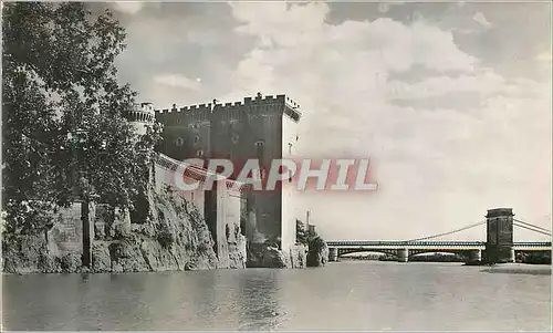 Cartes postales moderne Tarascon (B du R) le Chateau du Roi Rene
