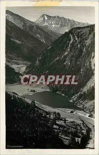 Cartes postales moderne Brennersee