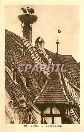 Cartes postales Obernai Nid de Cigognes