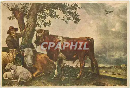 Cartes postales Paulus Potter de Jonge Stier le Jeune Taureau