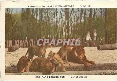 Cartes postales Exposition Coloniale Internationale Paris 1931 Parc Zoologique Lion et Lionnes