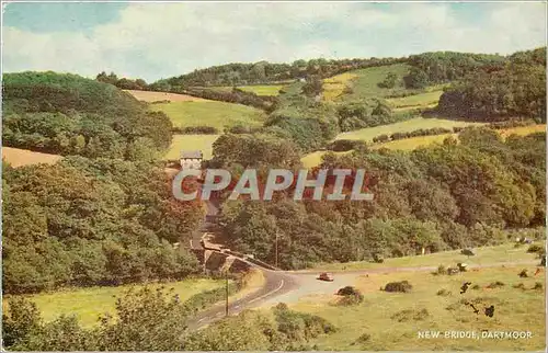 Cartes postales moderne new bridge dart moor