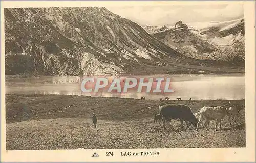 Cartes postales 274 lac de tignes Chevre