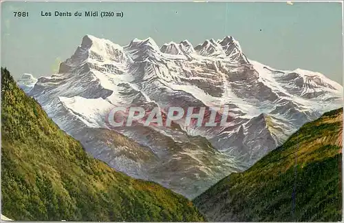 Cartes postales 7981 les denis du midi (3260 m)