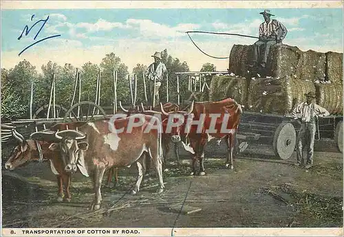 Cartes postales 8 transportation of cotton by road Antilles