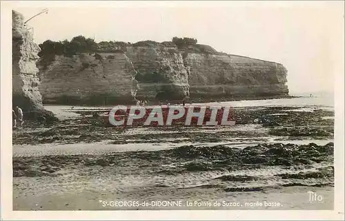 Cartes postales moderne St georges de didonne la pointe de suzac maree basse