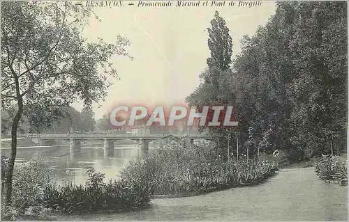 Cartes postales Besancon Promenade Micaud et Pont de Bregille