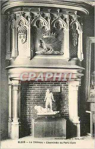 Cartes postales Blois le chateau cheminee du porc epic