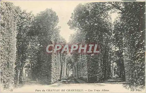 Ansichtskarte AK Parc du Chateau de chantilly les trois allees