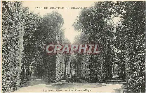 Cartes postales Parc du chateau chantilly