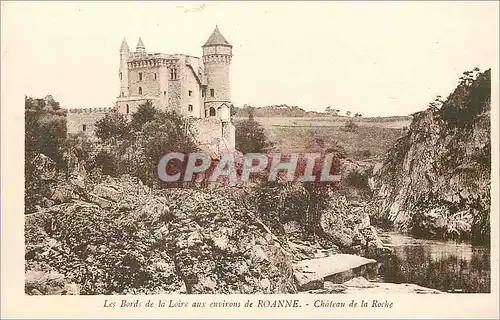 Cartes postales Les bord de la loire aux environs de roanne chateau de la roche