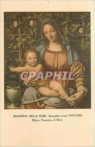 Cartes postales Madonna delle rose bernardino luini (1470 1533) milano pinacoteca di brera