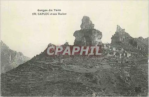 Cartes postales Les gorges du tarn 170 capluc et son rocher