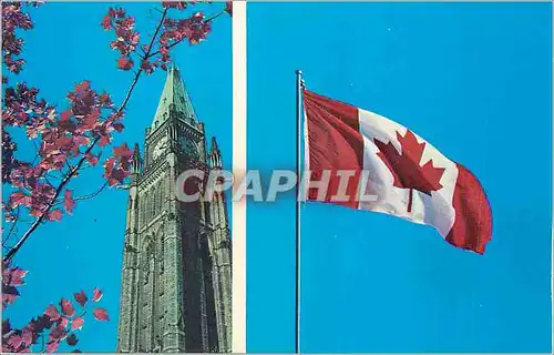 Cartes postales moderne Le drapeau canadien le nouveau drapeau portant la feuille d erable rouge est devenu officiel le