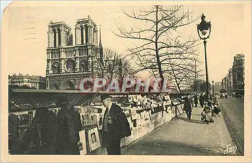 Cartes postales 100 paris les quais les bouquinistes vue sur notre dame