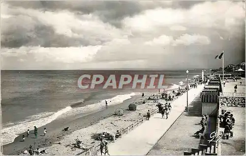 Cartes postales moderne 12 luc sur mer(calvados) la plage a maree haute