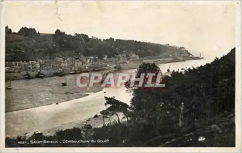 Cartes postales moderne 1021 saint brieuc l'embouchure du gouet