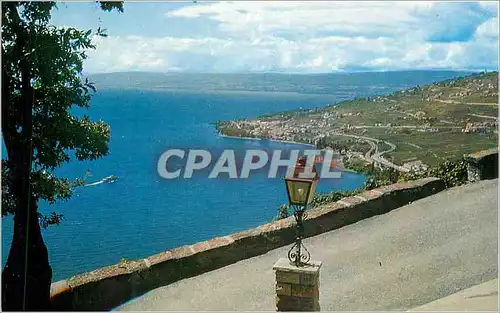 Cartes postales moderne 5329 vignoble de lavaux cuily et le lac leman