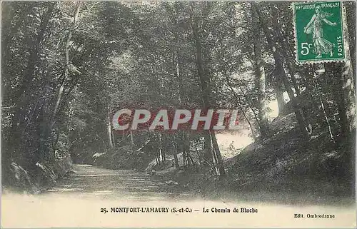 Cartes postales 25 montfort l'amaury (s et o) le chemin de blache