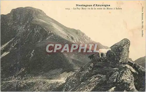 Cartes postales Montagnes d auvergne 1233 le puy mary vu de la route de murat a salers