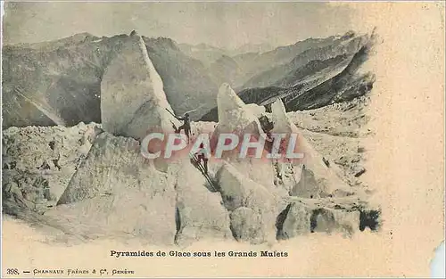 Cartes postales Pyramides de glace sous les grands mulets Alpinisme