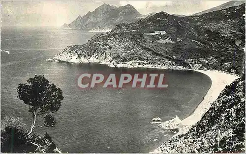 Cartes postales moderne Golfe de porto (corse) plage de bussagna