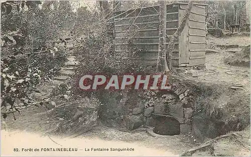 Cartes postales 82 foret de fontainebleau la fontaine  sanguinede