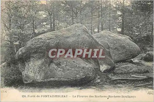 Ansichtskarte AK 126 foret de fontainebleau la pieuvre des rochers (rochers bouligny)