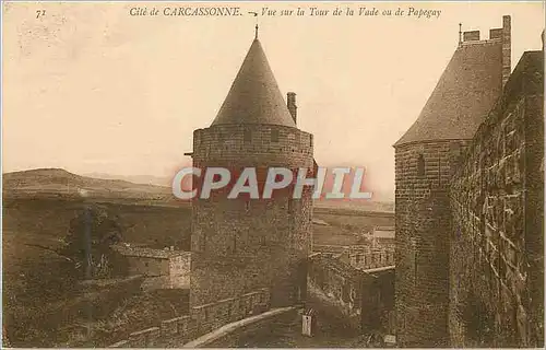 Cartes postales Cite de carcassonne vue sur la tour de la vade ou de papegay