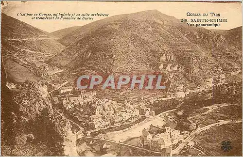 Cartes postales Gorges du tarn 246 sainte enimie vue panoramique
