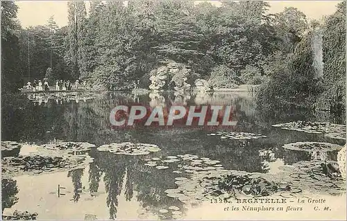 Cartes postales 1326 bagatelle la grotte et les nenuphars en fleurs