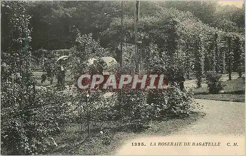 Cartes postales 1335 la roseraie de bagatelle