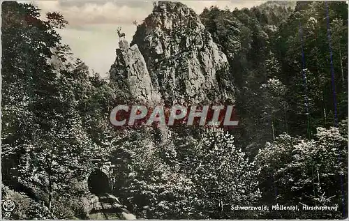 Cartes postales moderne Schwarzwald hollental hirschsprung