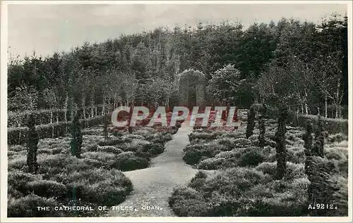 Cartes postales moderne The cathedrale de trees oban