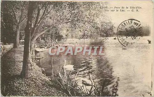 Cartes postales Lyon parc de la tete d or vue sur le lac