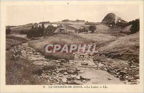 Cartes postales 2 le gerbier de joncs la loire