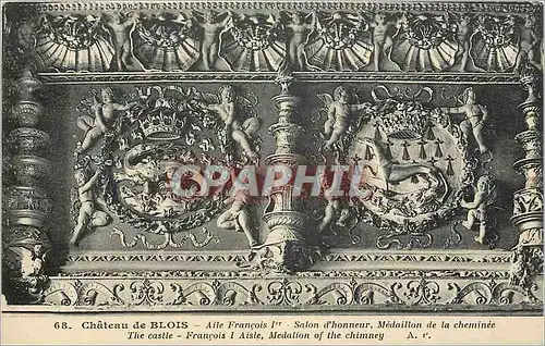 Cartes postales Chateau de Blois Aile Francois 1er Salon d'Honneur Medaillon de la Cheminee