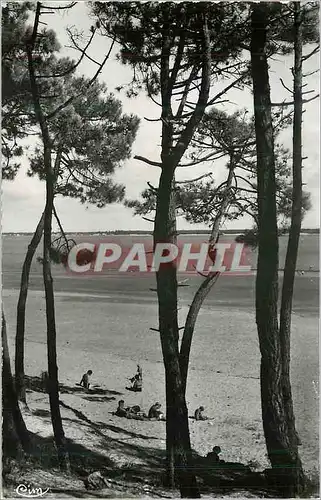 Cartes postales moderne Ile d'Oleron St Trojan Les Bains (Char Mar) Echappee sur l'Ocean