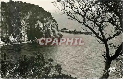 Cartes postales moderne Environs d'Hyeres Giens La Pointe du Mort