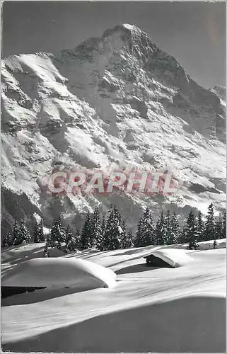 Cartes postales moderne Bei Grindelwald der Eiger