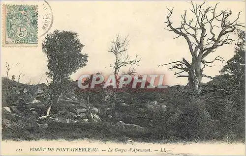 Cartes postales Foret de Fontainebleau Le Gorges d'Apremont LL