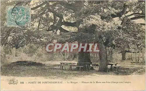 Cartes postales Foret de Fontainebleau Le Murger  Plateau de la Mare aux Liees (George aux Loups)