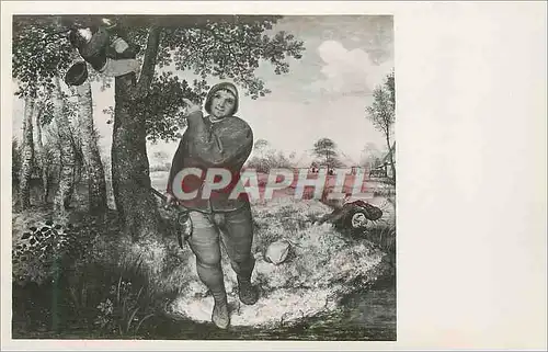 Cartes postales Kunsthistorisches Museum Wien Peter Bruegel (152 1569) Le Denicheur