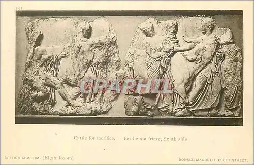 Cartes postales British Museum Cattle for Sacrifice Pantheon Frieze South Side