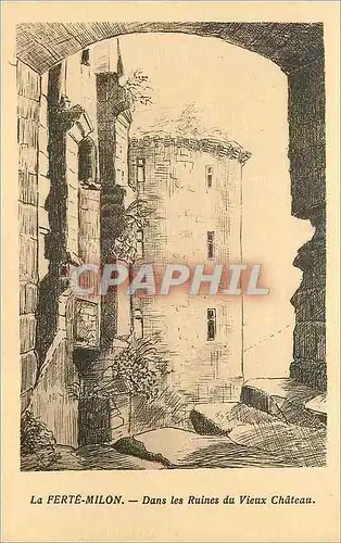 Cartes postales la Ferte Milon (Aisne) dans les Ruines du Vieux Chateau