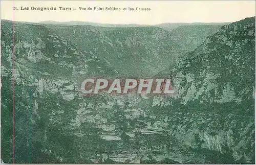 Cartes postales les Gorges du Tarn Vue du Point Sublime et les Caussos