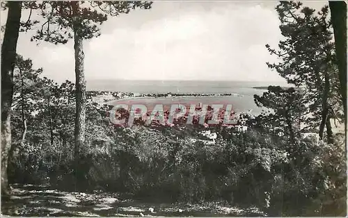 Cartes postales moderne Cannes Vue Generale