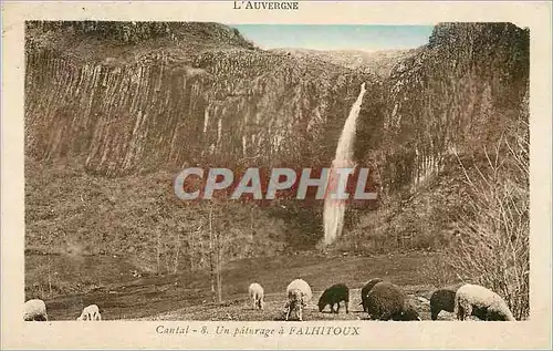 Cartes postales l'Auvergne Cantal un Paturage a Falhitoux Moutons