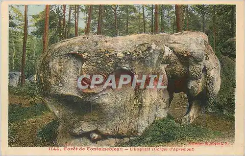 Ansichtskarte AK Foret de Fontainebleau l'Elephant