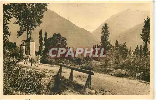 Cartes postales les Pyrenees Vallee d'Argeles Route de Beaucens Vaches Dans le fond Gorge de Cauterets
